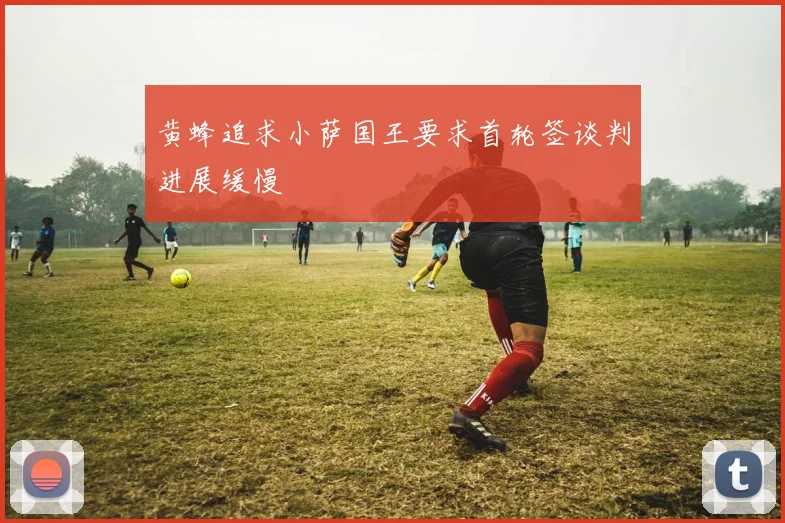 黄蜂追求小萨国王要求首轮签谈判进展缓慢